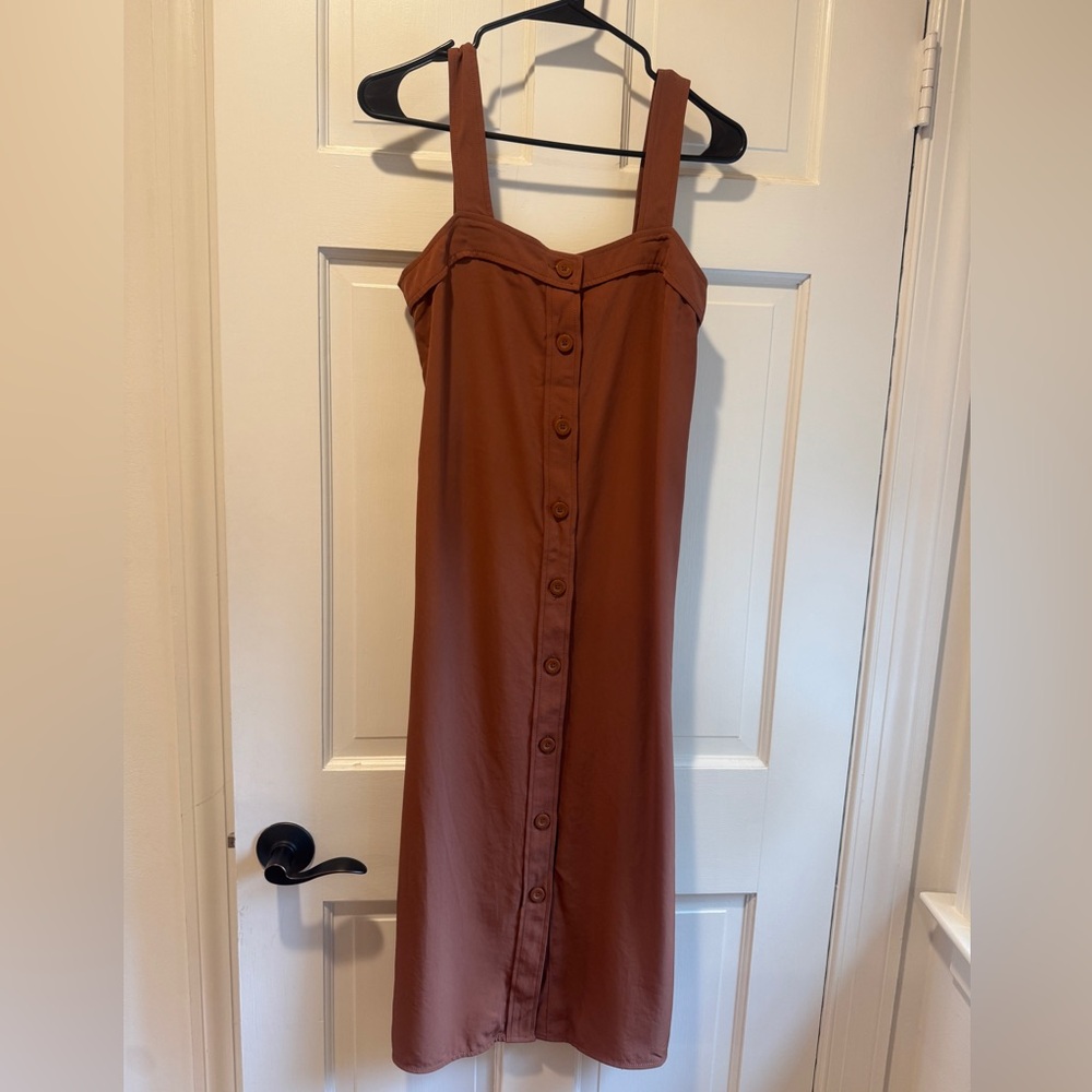 Everlane Strapless Brown Dress